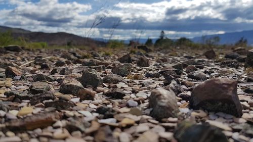 Close-up of pebbles on beach against sky