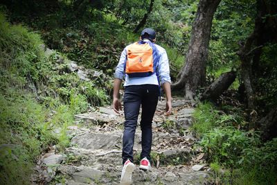 Full length rear view of man walking in forest