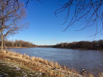 Scenic view of lake against clear blue sky