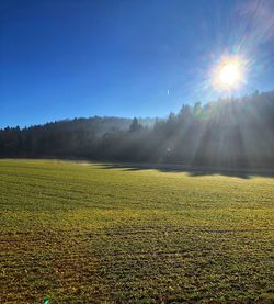 Scenic view of field against clear sky