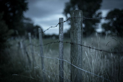 Close-up of barbed wire