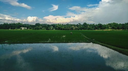 Scenic view of field against sky