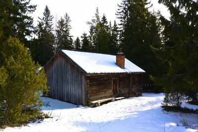 House with trees in background