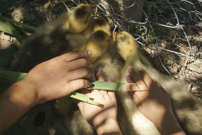 Midsection of woman holding hands