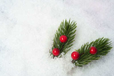 Close-up of christmas decorations on snow