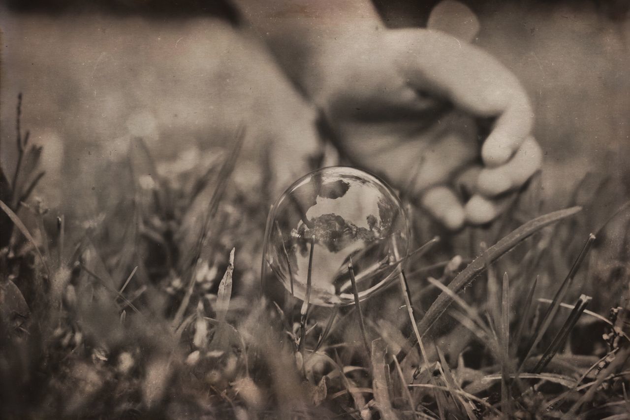 focus on foreground, close-up, lifestyles, holding, person, leisure activity, selective focus, men, field, day, grass, part of, outdoors, headshot, plant, cropped