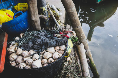 High angle view of food in water