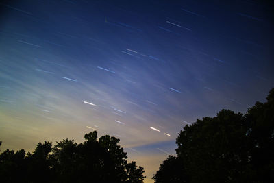 Silhouette trees against star field at night