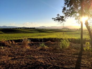 Scenic view of field against sky during sunset