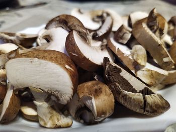 Close-up of mushrooms