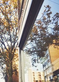 Low angle view of buildings in city