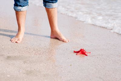 Low section of man standing by starfish at beach