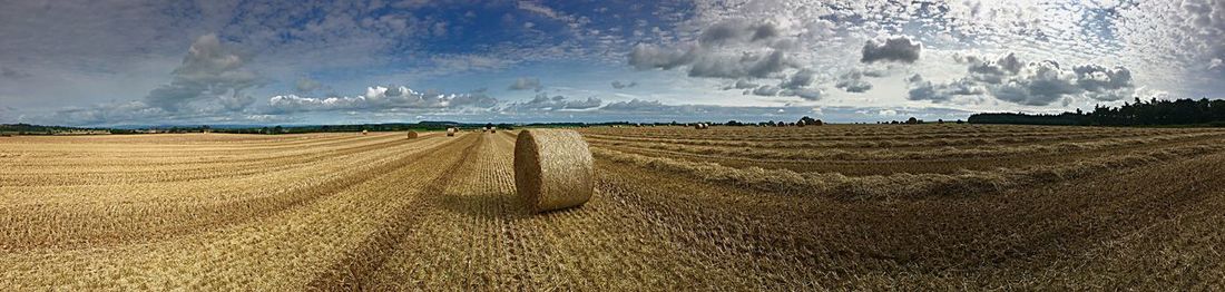 Panoramic view of agricultural field against sky