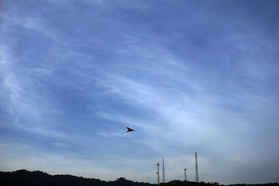 Low angle view of bird flying in sky