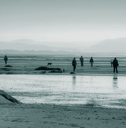 Silhouette people on beach against clear sky