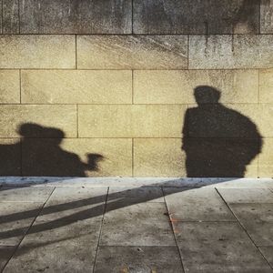 Shadow of people on dog