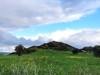 Scenic view of land against sky