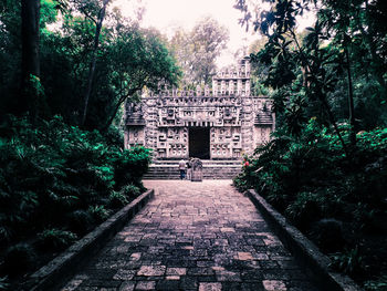 Footpath leading to building