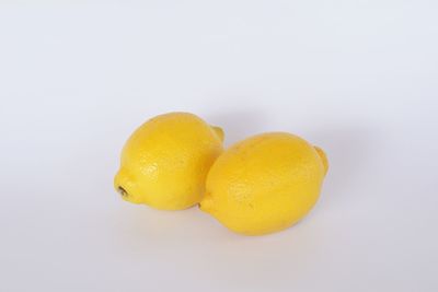 Close-up of oranges against white background