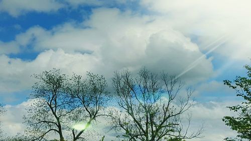 Low angle view of bare trees against cloudy sky