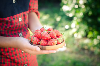 Midsection of woman holding strawberry