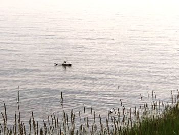 Scenic view of lake