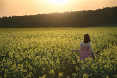 Rear view of woman walking amidst oilseed rape field against sky during sunset