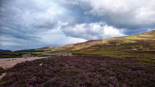 Scenic view of field against cloudy sky