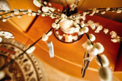 Low angle view of chandelier hanging on ceiling