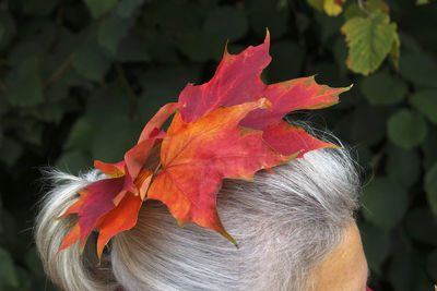 Close-up of orange maple leaves