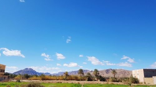 Scenic view of landscape against blue sky