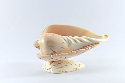 Close-up of cake against white background