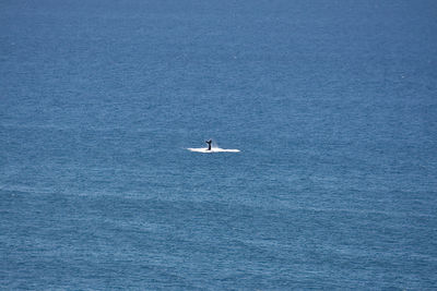 High angle view of sailboat in sea