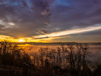 Scenic view of sunset