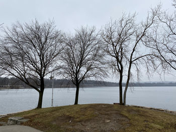 Bare trees by lake against sky during winter