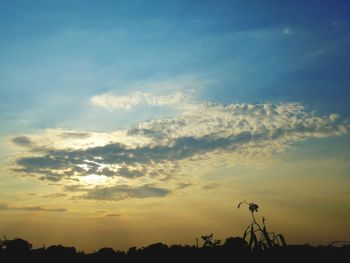 Silhouette trees against sky during sunset