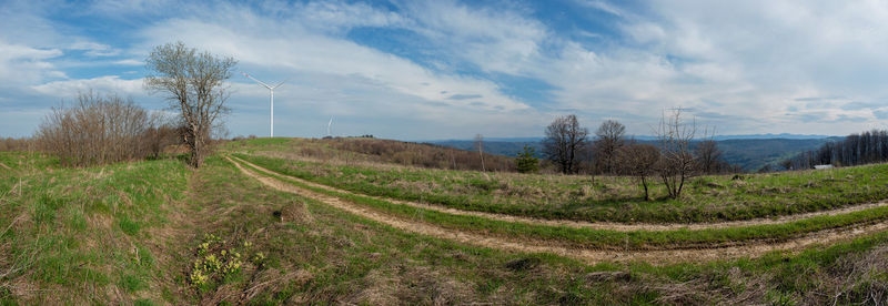 Scenic view of field against sky