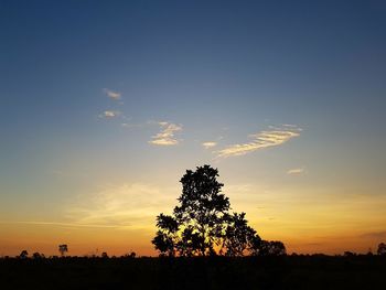 Silhouette trees against sky during sunset