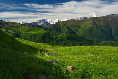 Alpine meadows in mountainous chechnya in the caucasus