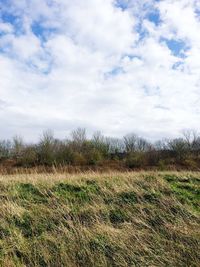 Scenic view of grassy field against cloudy sky