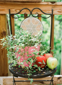 Close-up of potted plant on table