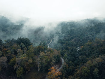 High angle view of trees on mountain against sky