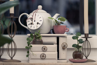Close-up of potted plant on table