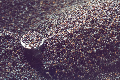 High angle view of crab on beach