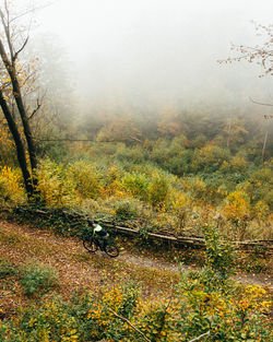 Scenic view of landscape