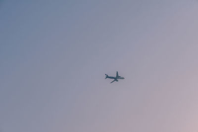 Low angle view of airplane flying in sky