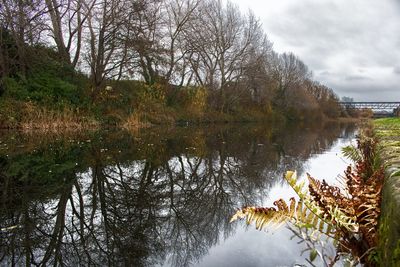 Scenic view of lake in forest against sky