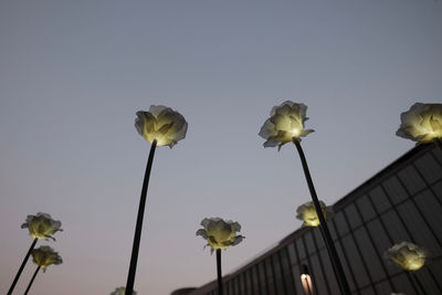 Low angle view of street light against sky