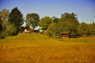 House on field by trees against sky