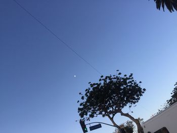 Low angle view of birds flying against blue sky